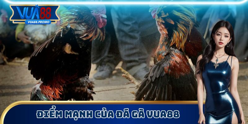 Điểm mạnh của đá gà Vua88