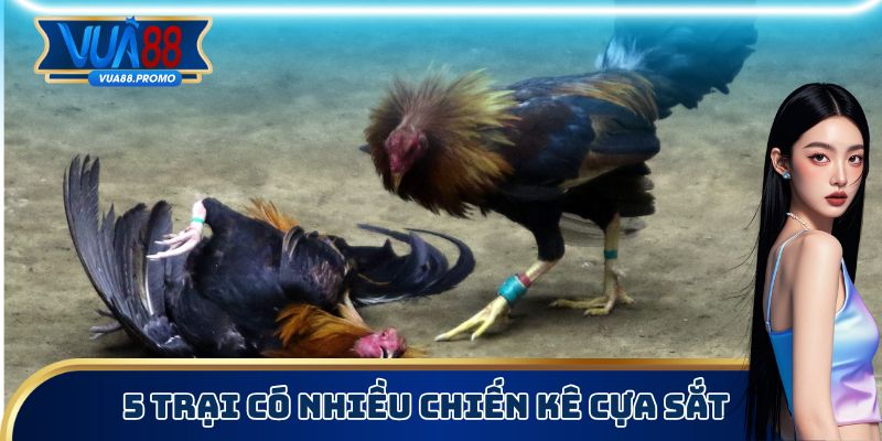 Giới thiệu 5 trại có nhiều dị tướng nhất Đông Nam Á