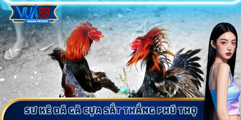 Thắng Phú Thọ nổi tiếng với các trận đá gà cựa sắt nảy lửa