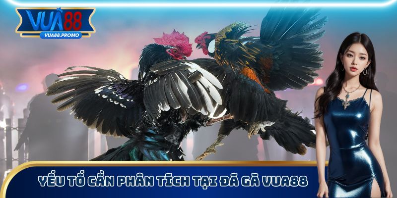 Yếu tố cần phân tích tại đá gà Vua88